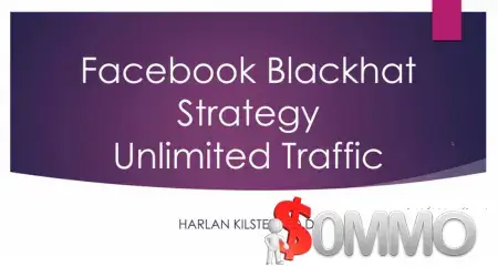 Blackhat Facebook Traffic by Harlan Kilstein