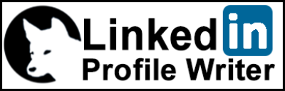 LinkedIn Profile Writer 1.0