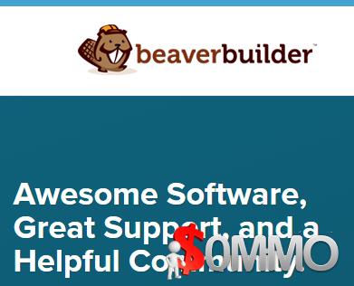 Beaver Builder Pro + Addons [Instant Deliver]