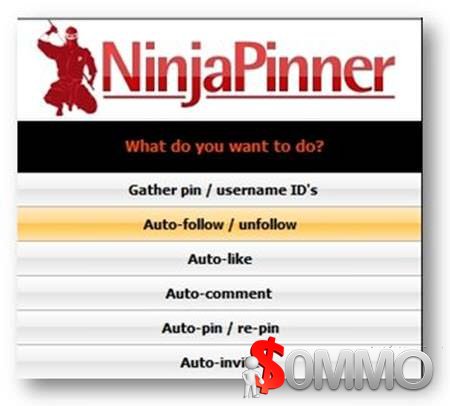 Ninja Pinner 7.7.13
