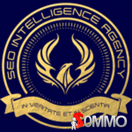 SEO Intelligence Agency Test - November 2019 [Instant Deliver]