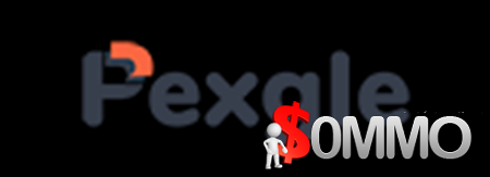 Pexgle Business Annual [Instant Deliver]
