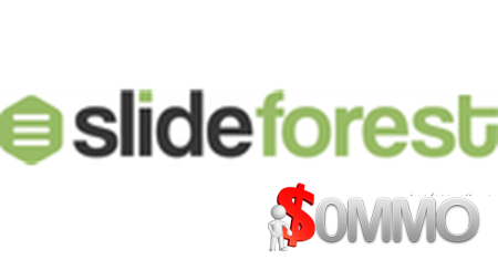 SlideForest – All Presentation Templates [Instant Deliver]