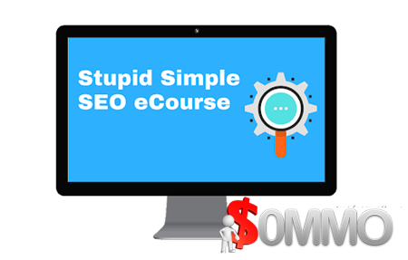 Stupid Simple SEO 2.0 Advanced [Instant Deliver]