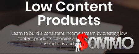 David Ford - Low Content Mastery Course [Instant Deliver]
