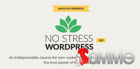 Dave Foy - No Stress Wordpress 2.0 [Instant delivery]