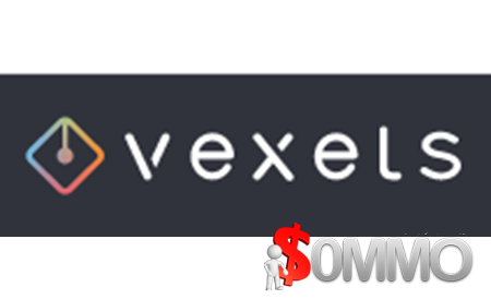 Vexels Business LTD [instant Deliver]