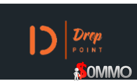 DropPoint Pro Annual [Instant Deliver]