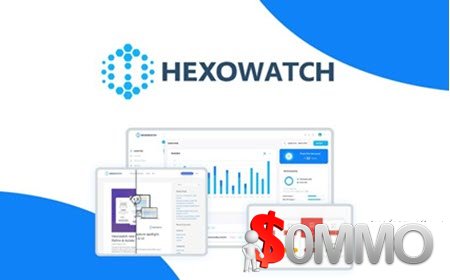 Hexowatch Business