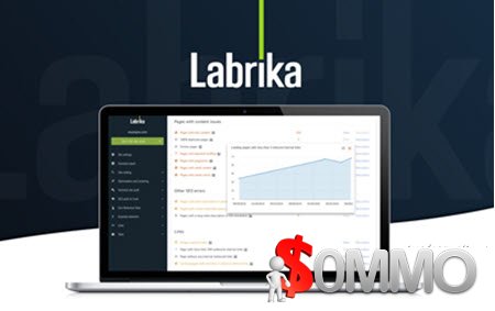 Labrika LTD [Instant Deliver]