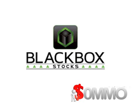 BlackBox Stocks Annual