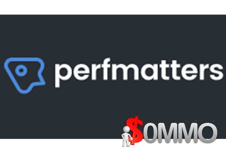 Perfmatters Unlimited Annual [Instant Deliver]