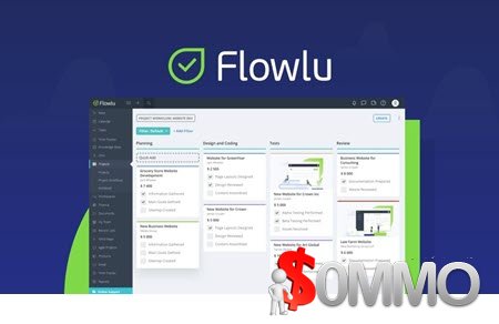 Flowlu Professional Plan LTD [Instant Deliver]