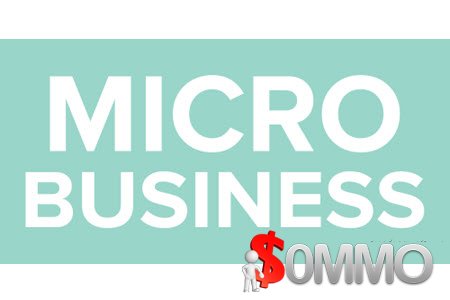 Ryan Lee - Micro Business