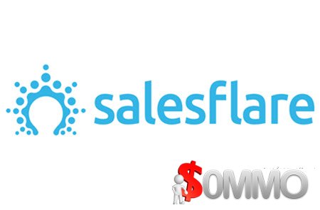 Salesflare Annual [Instant Deliver]