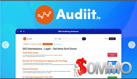 Audiit.io SEO Competition Analysis Tool [Instant Deliver]