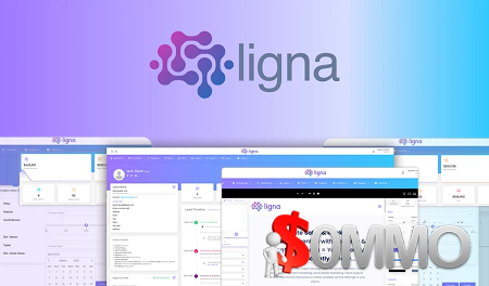 Ligna Agency Plan LTD [Instant Deliver]