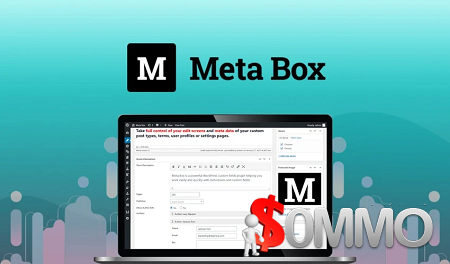 Meta Box Lifetime Bundle Ltd