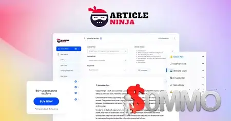 Article Ninja Premium Plan LTD