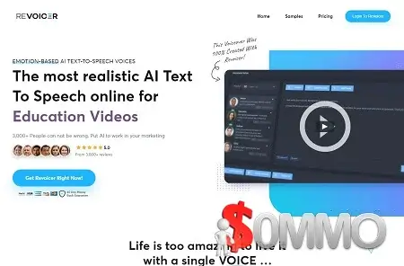 Revoicer Agency Annual