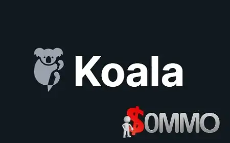 KoalaWriter Professional