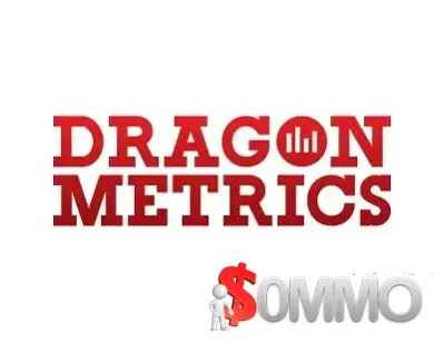 Dragon Metrics Annual