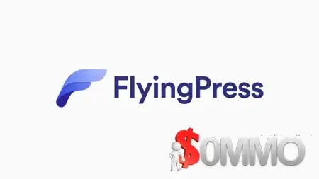 FlyingPress