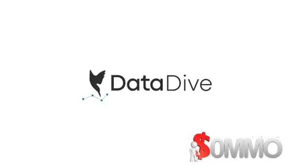 Data Dive
